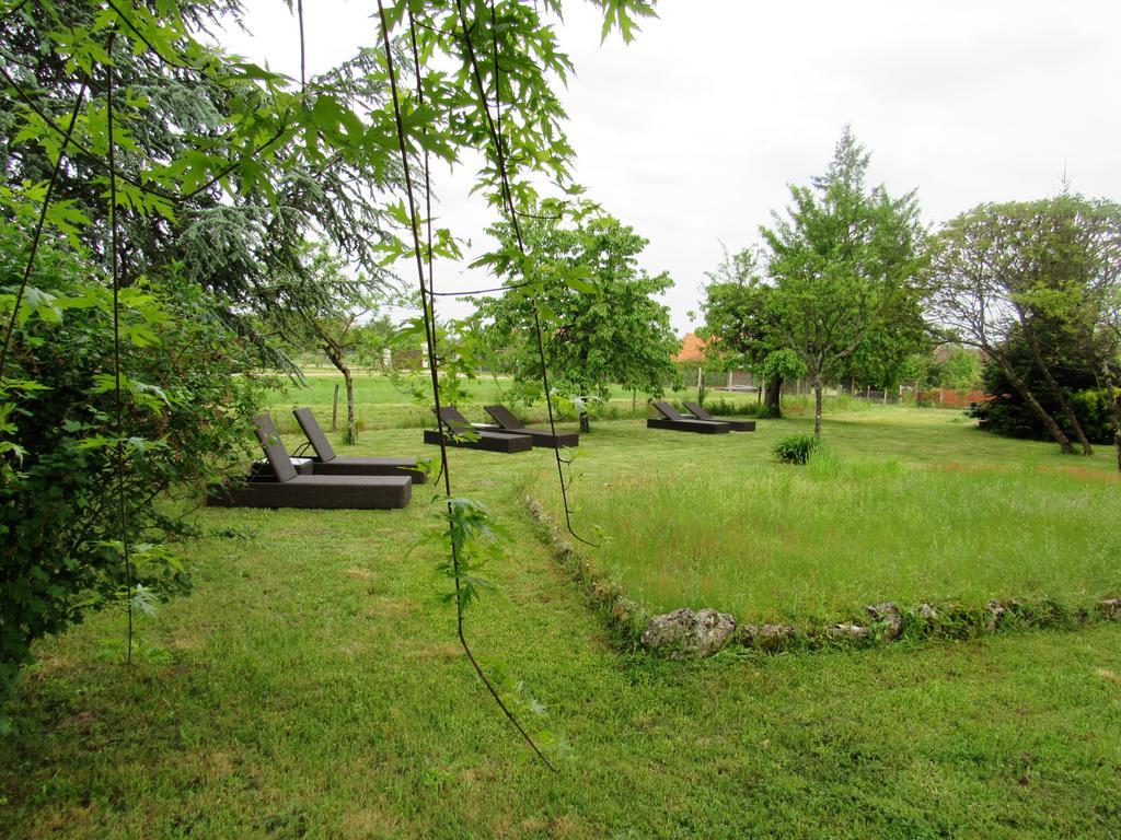 Auberge Du Grand Dauphin Dhuizon Buitenkant foto