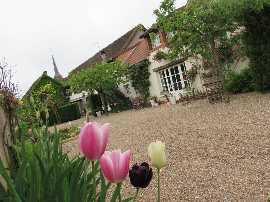 Auberge Du Grand Dauphin Dhuizon Buitenkant foto